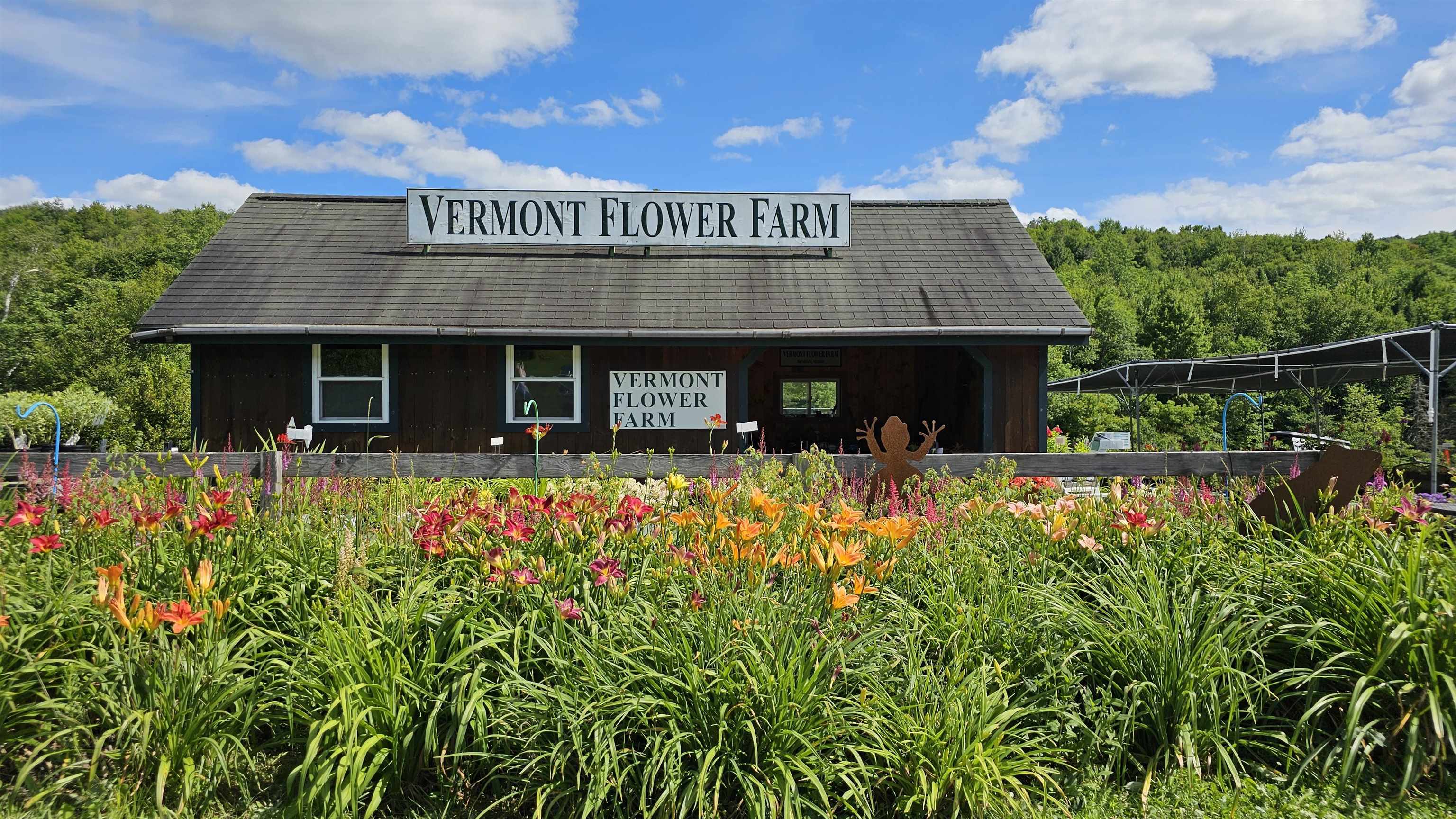 2263 Highway 2 Marshfield, VT 05658 - Photo 57 of 60