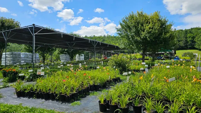 $450,000 | 2263 Highway 2, Marshfield, VT 05658