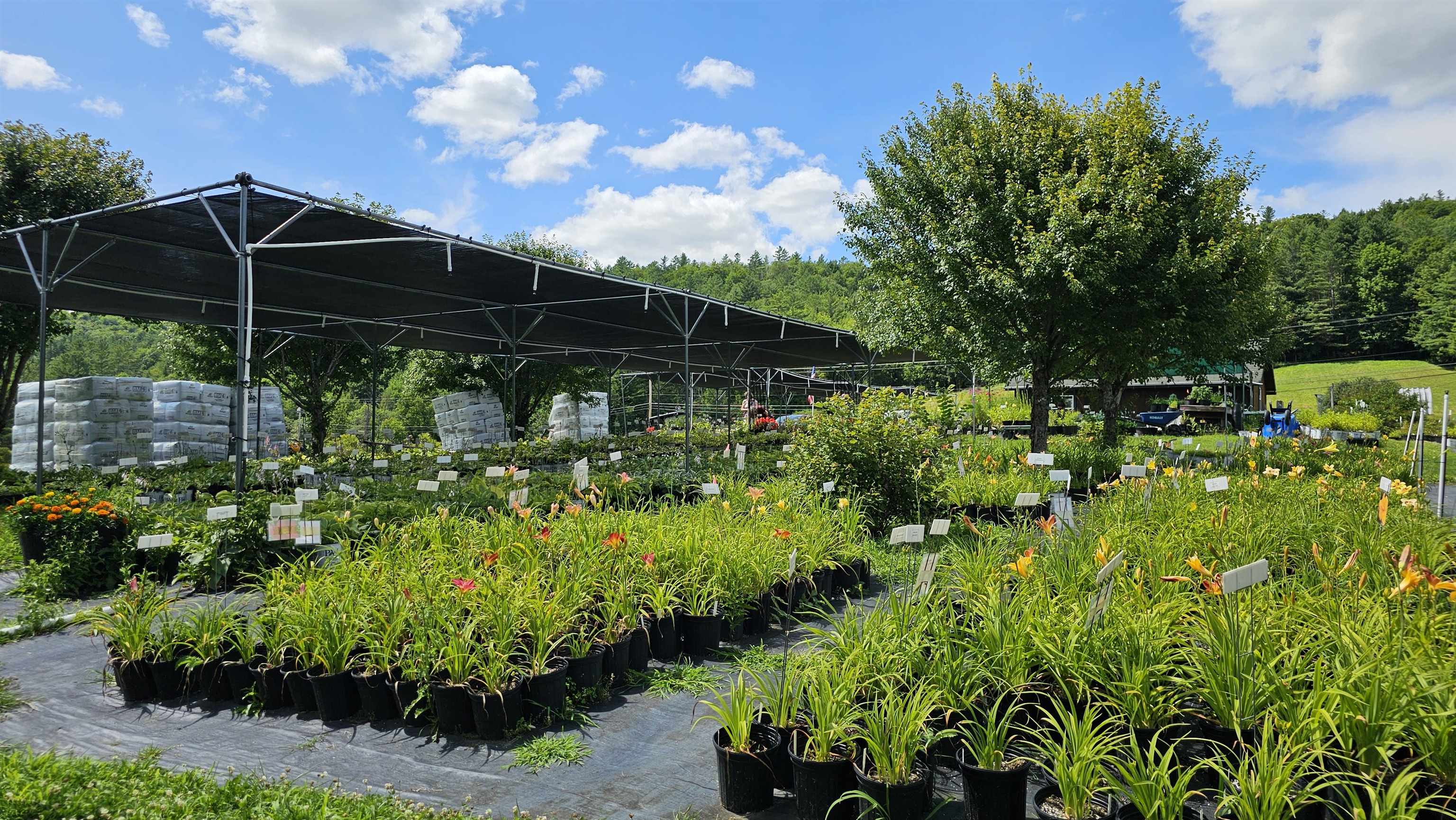 2263 Highway 2 Marshfield, VT 05658 - Photo 6 of 60