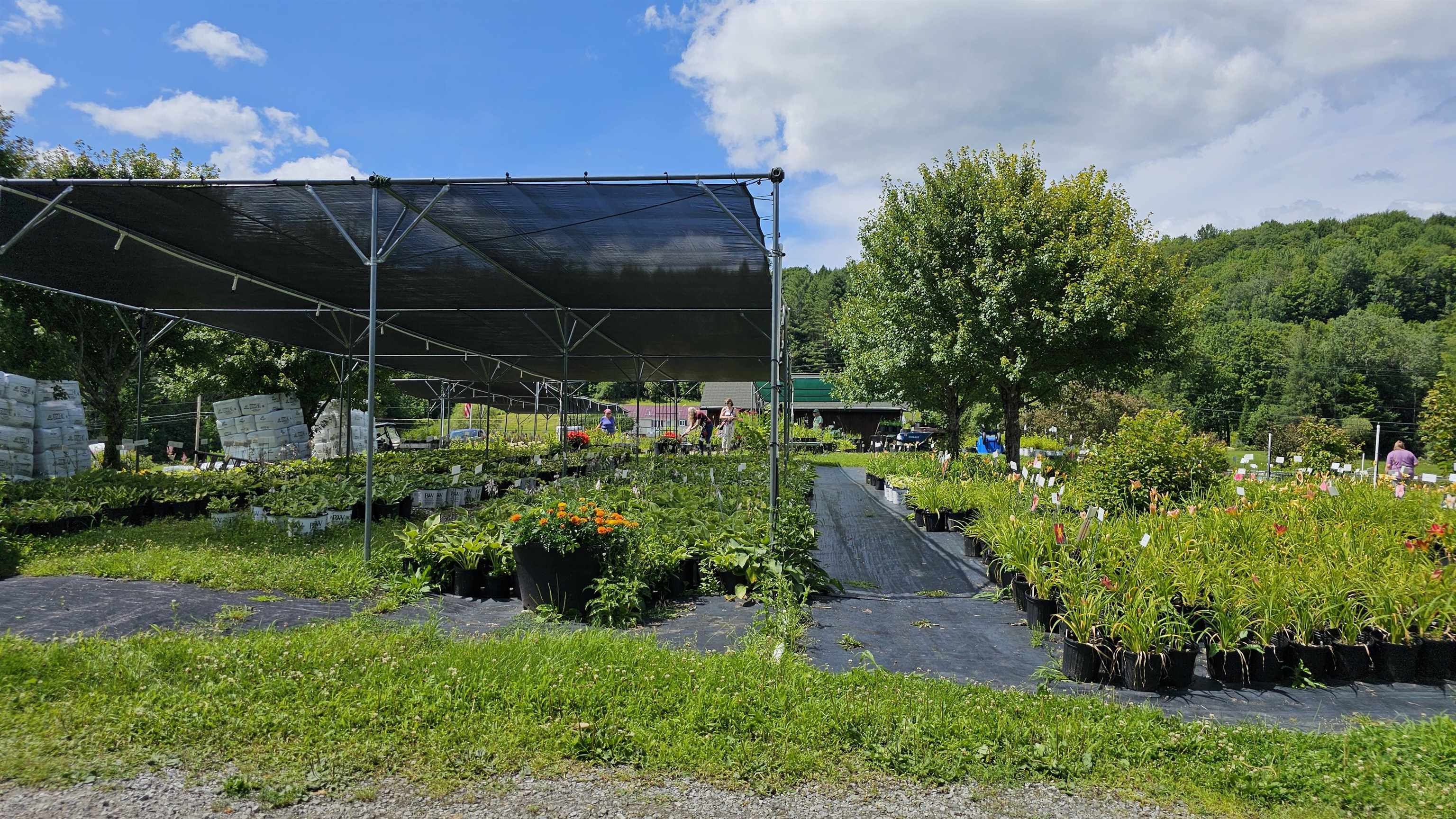 2263 Highway 2 Marshfield, VT 05658 - Photo 7 of 60