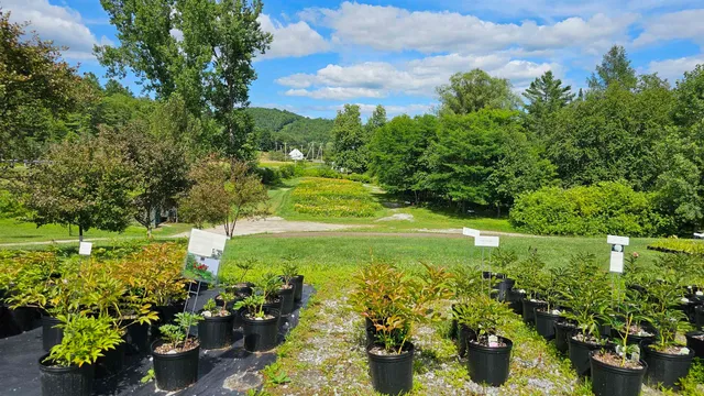 $450,000 | 2263 Highway 2, Marshfield, VT 05658