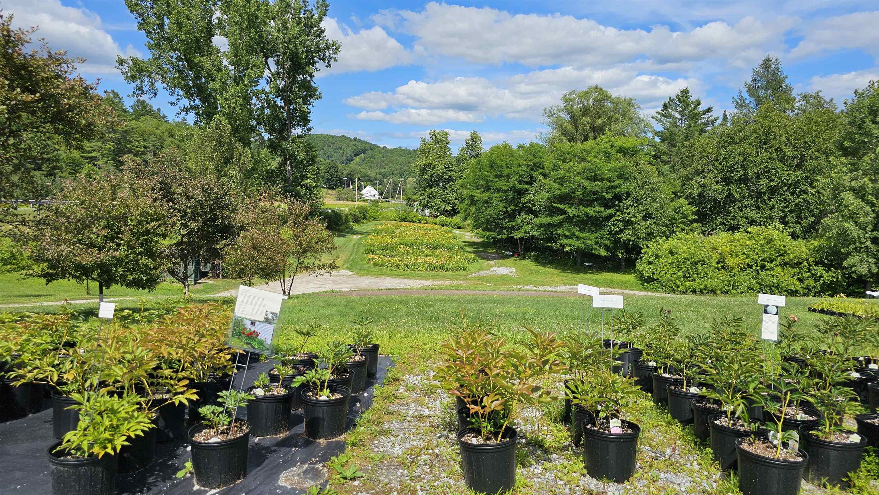 2263 Highway 2 Marshfield, VT 05658 - Photo 8 of 60