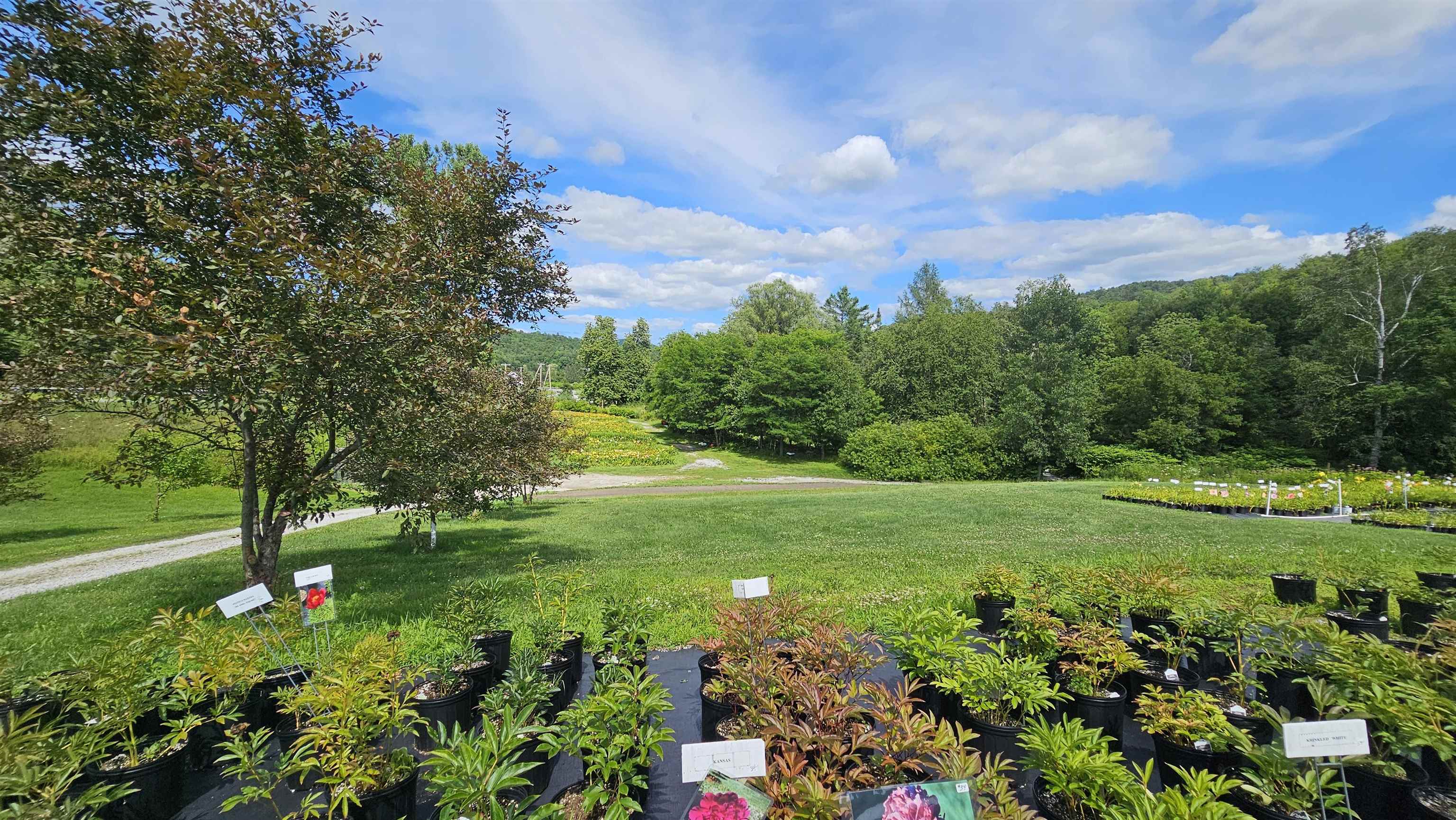 2263 Highway 2 Marshfield, VT 05658 - Photo 9 of 60