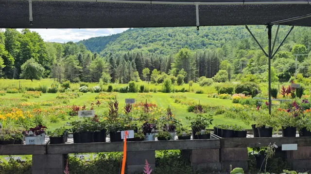 $450,000 | 2263 Highway 2, Marshfield, VT 05658
