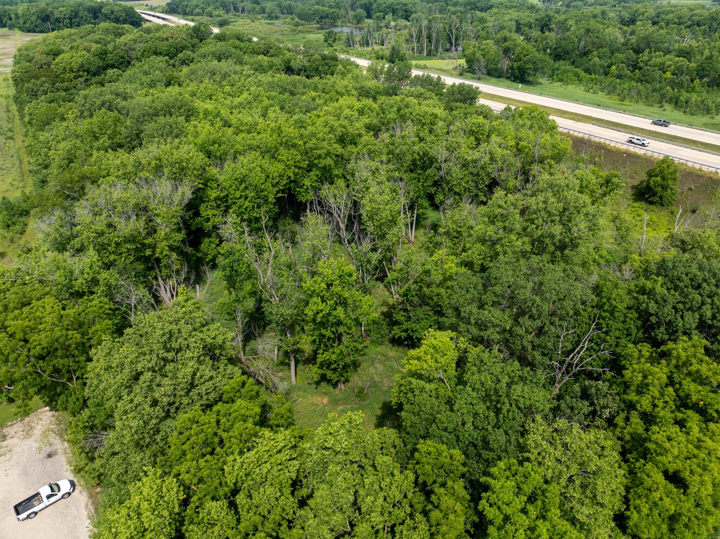 a view of a lush green forest