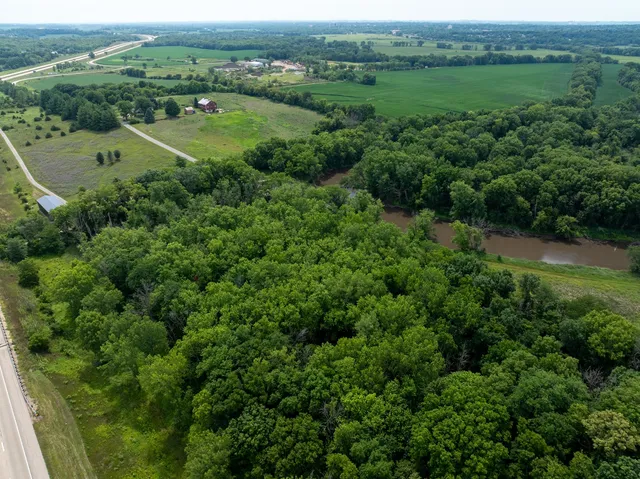 a view of a lush green forest with lots of trees