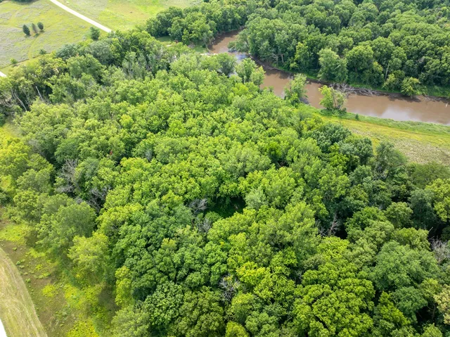 a view of a big yard with lots of green space