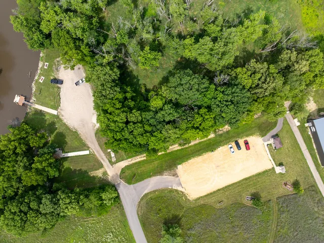 a view of a lush green forest with a tree