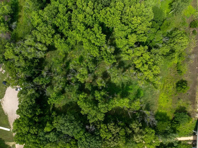 a backyard of a house with lots of green space and chair