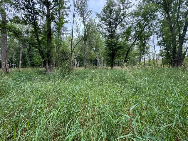 a view of outdoor space with deck and yard
