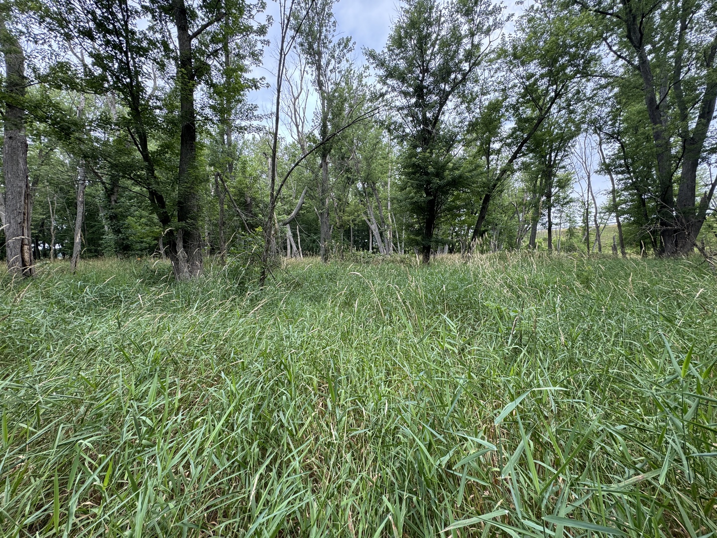 0 Fairview Road Freeport, IL 61032 - Photo 28 of 53 Gallery Image 28