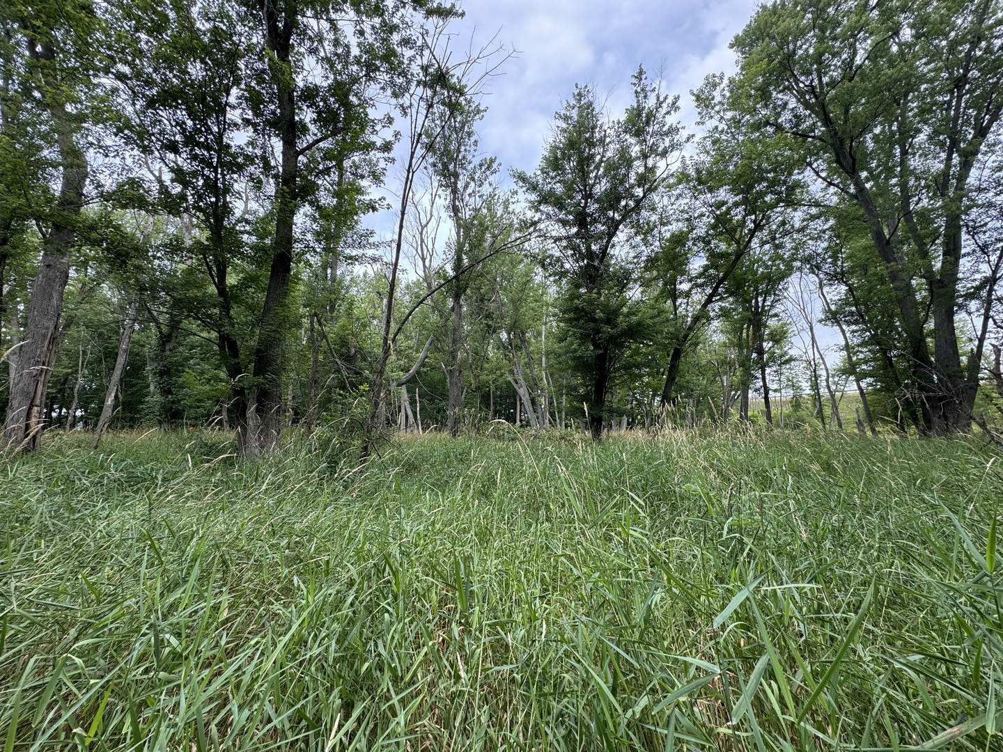 0 Fairview Road Freeport, IL 61032 - Photo 29 of 53 Gallery Image 29