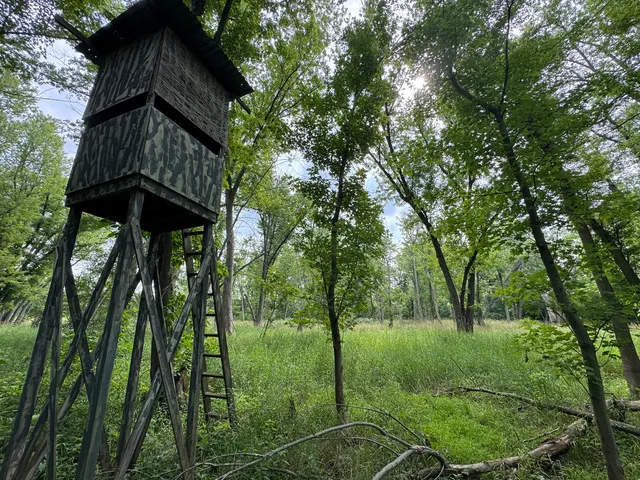 a view of outdoor space and green space