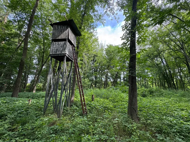 a big yard with lots of green space and trees