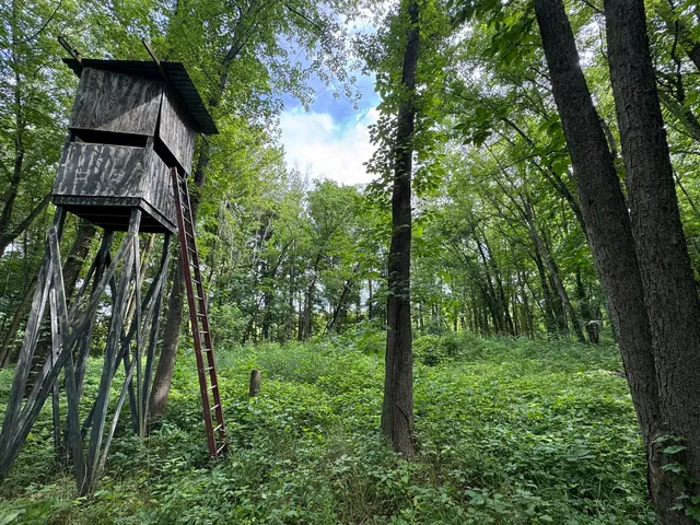 a view of outdoor space and trees all around
