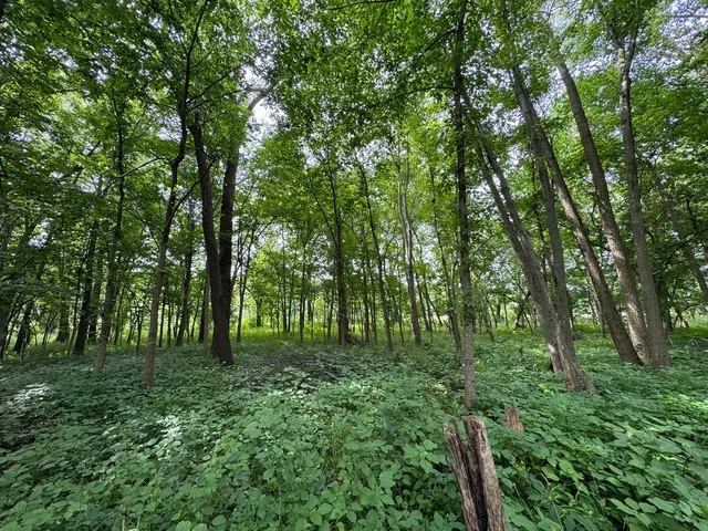 a view of water heater room