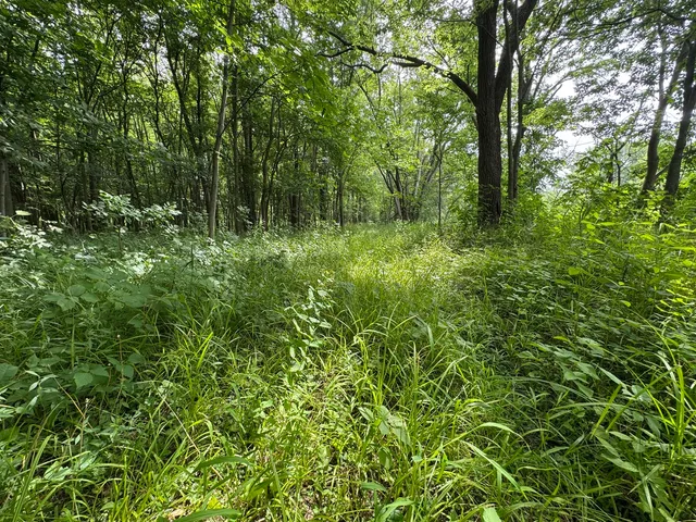 a close view of a bathroom shower
