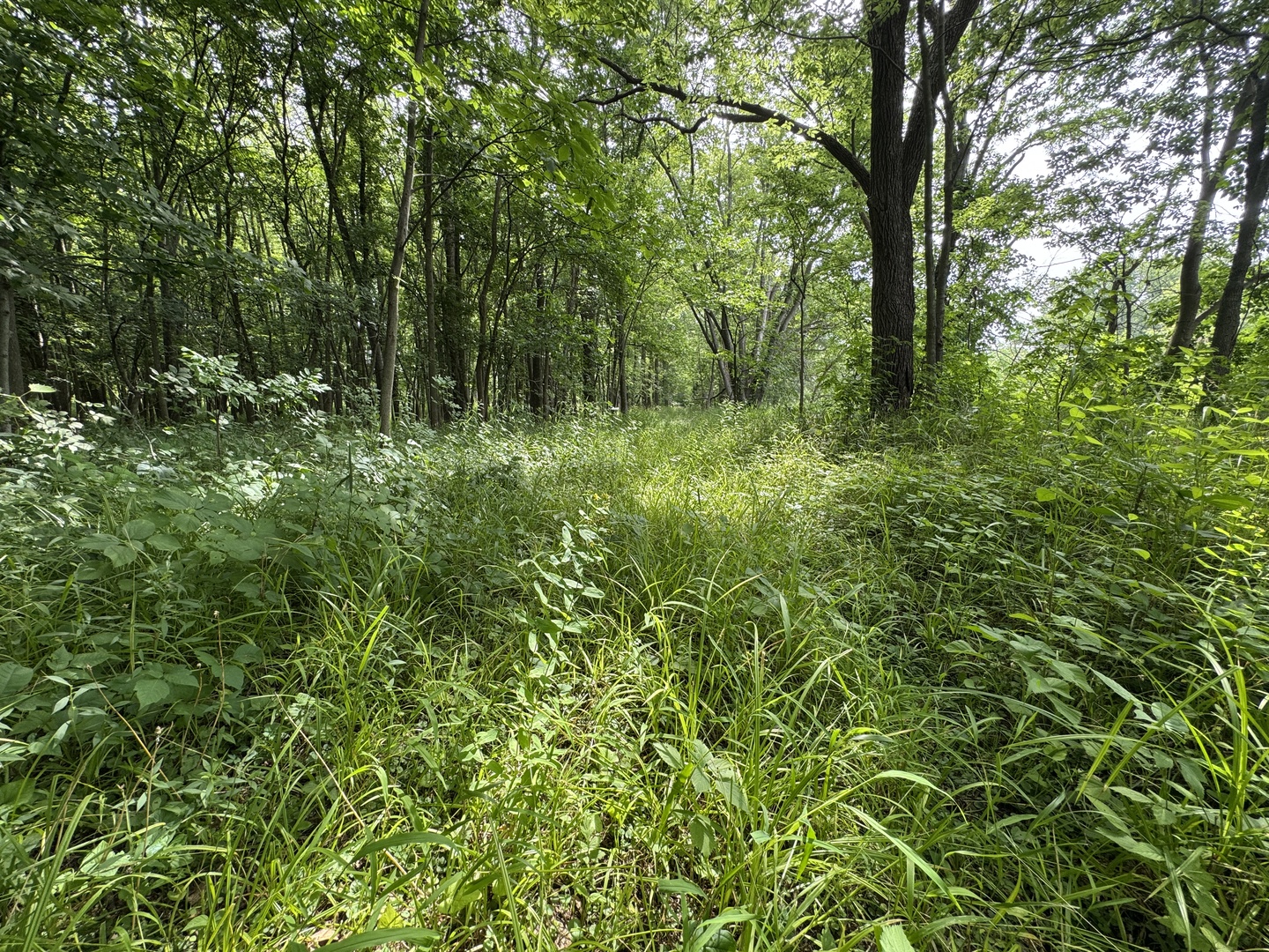 0 Fairview Road Freeport, IL 61032 - Photo 46 of 53 Gallery Image 46
