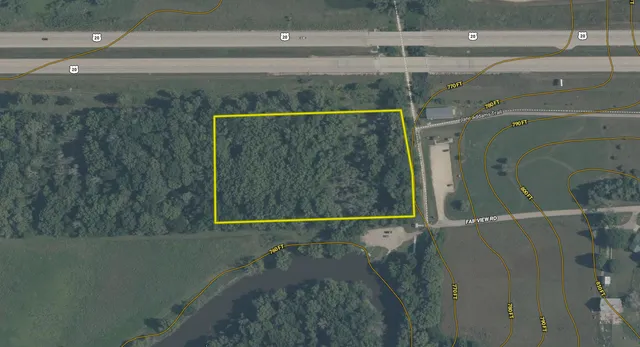 a view of a lush green forest