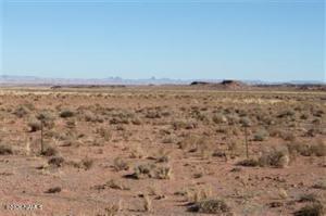 4287 State Route 99 Leuppx, AZ 86035 - Photo 5 of 5