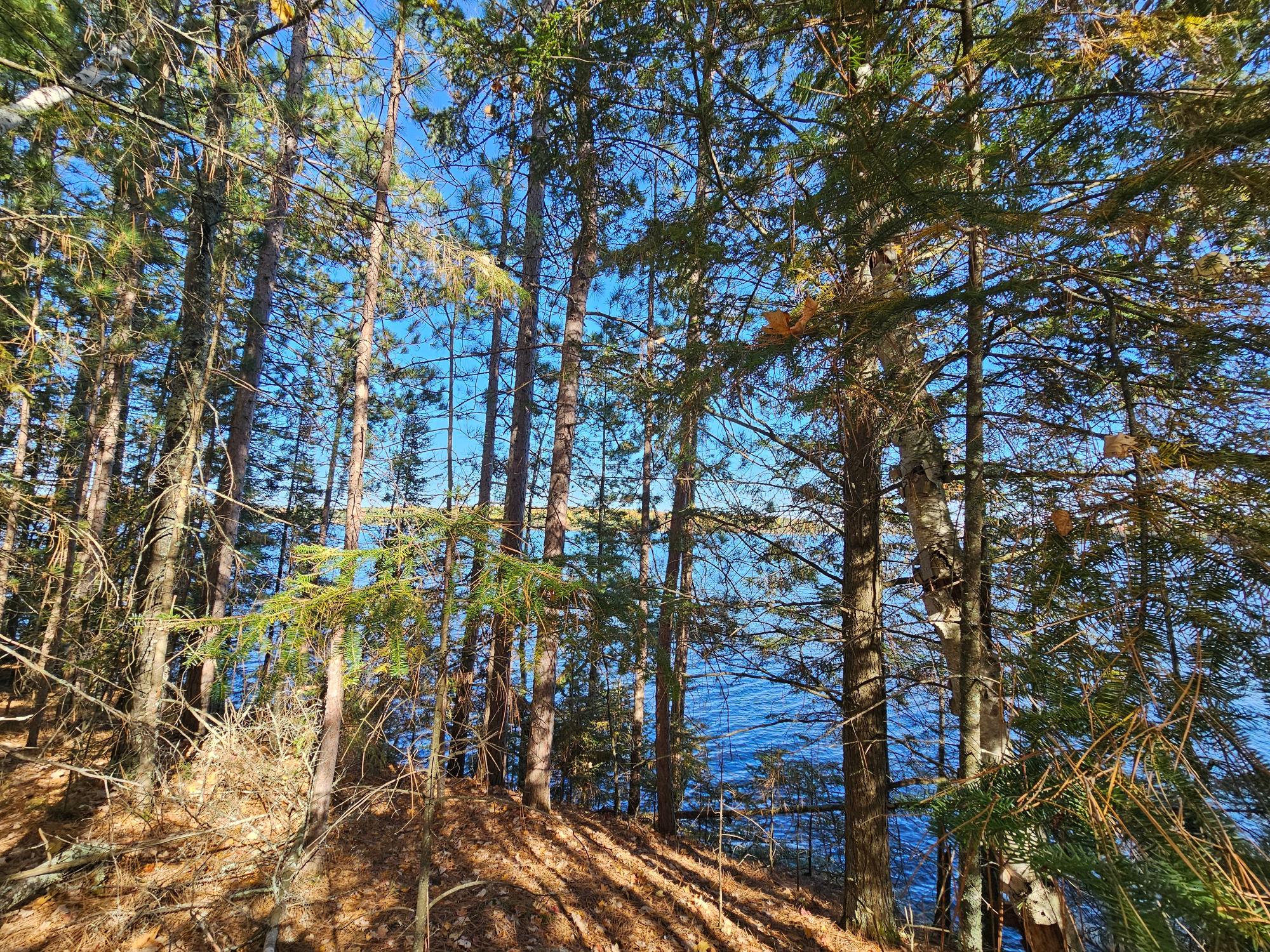 Near Ridgeway Drive Lake Tomahawk, WI 54539 - Photo 20 of 29 Gallery Image 20