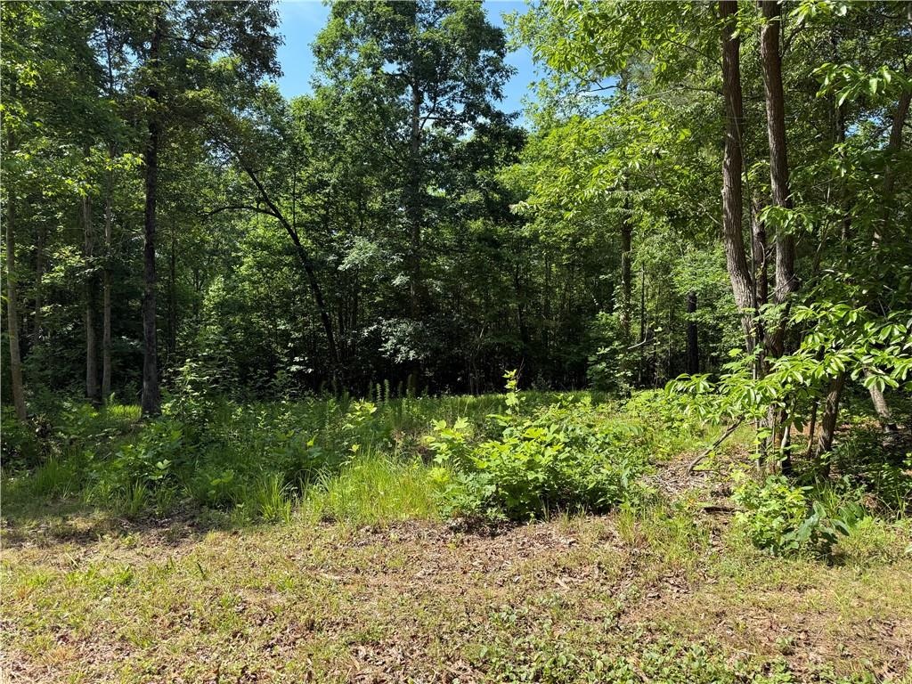 20-ac Ellijay Road Talking Rock, GA 30175 - Photo 2 of 9