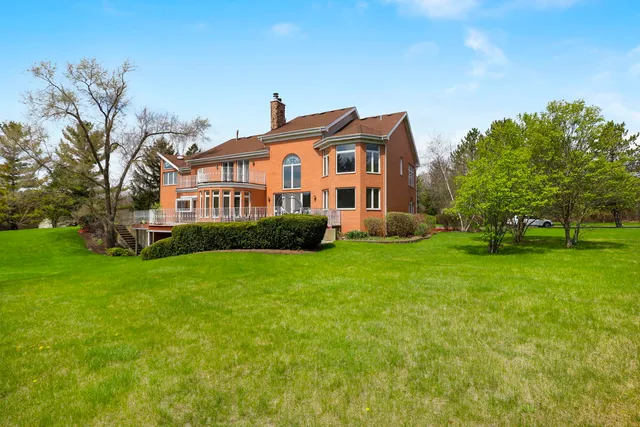 a view of a garden with plants and large trees