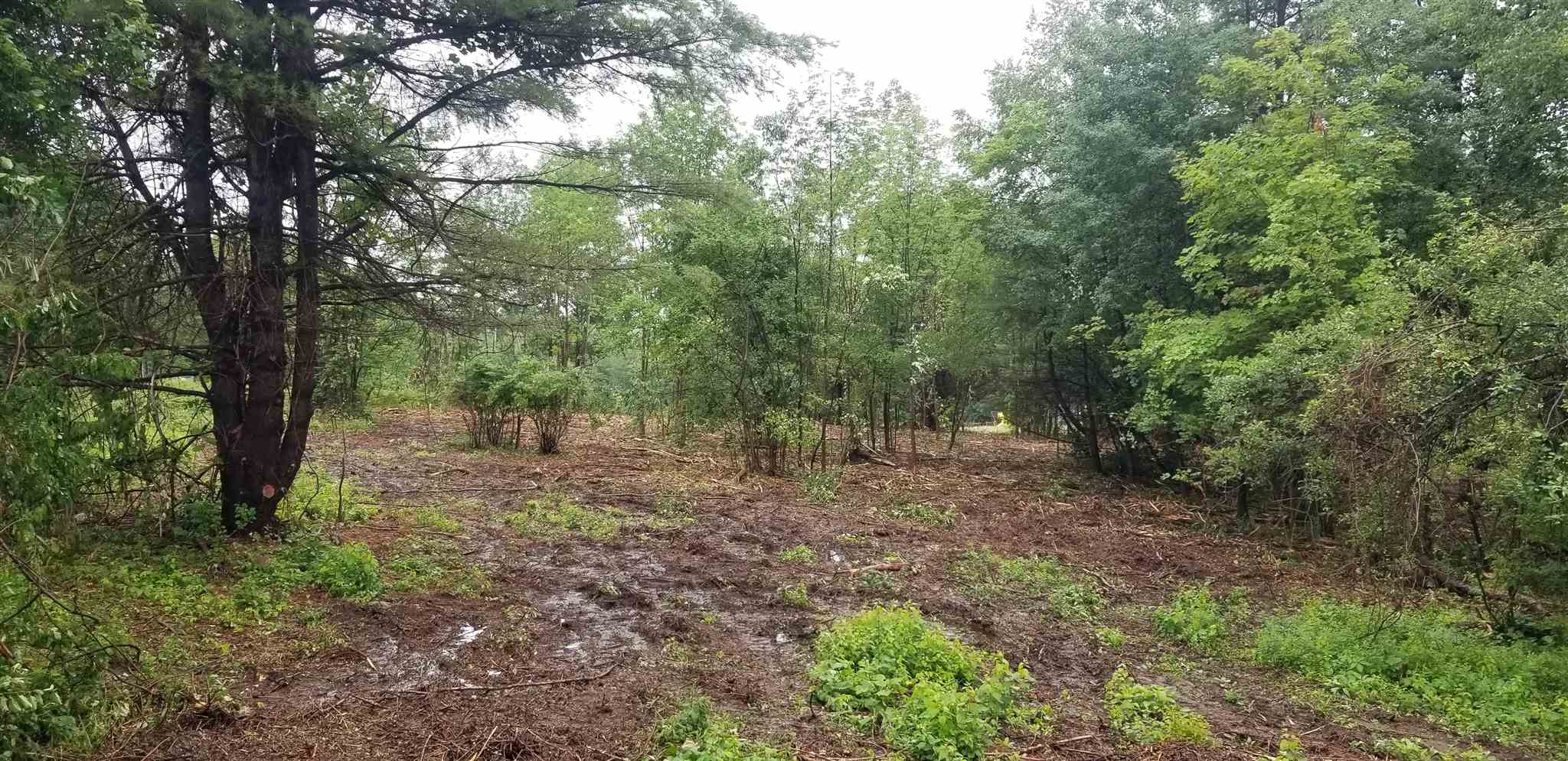 0 Clinton Road, Unit MAP 228 LOT 002 Antrim, NH 03440 - Photo 1 of 14 Gallery Image 1