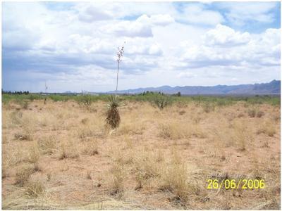 0 East Dragoon Road Dragoon, AZ 85609 - Photo 2 of 2