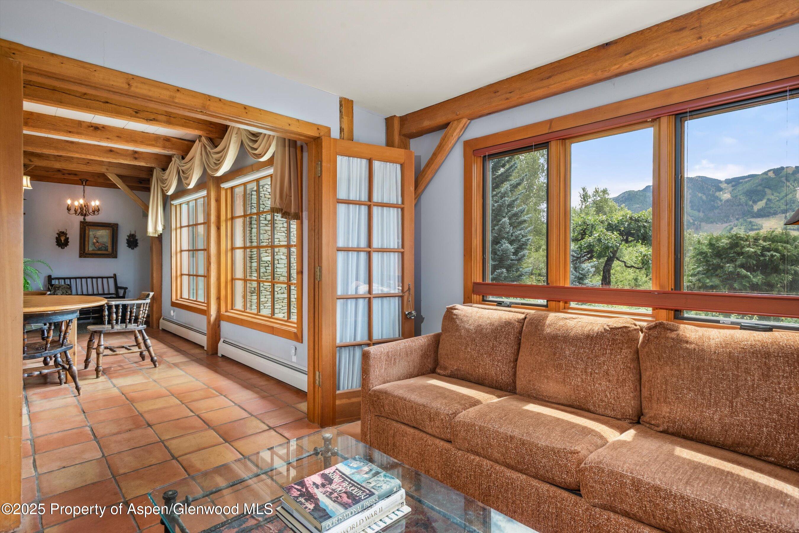 927 Red Mountain Road Aspen, CO 81612 - Photo 13 of 37 a living room with furniture and a window