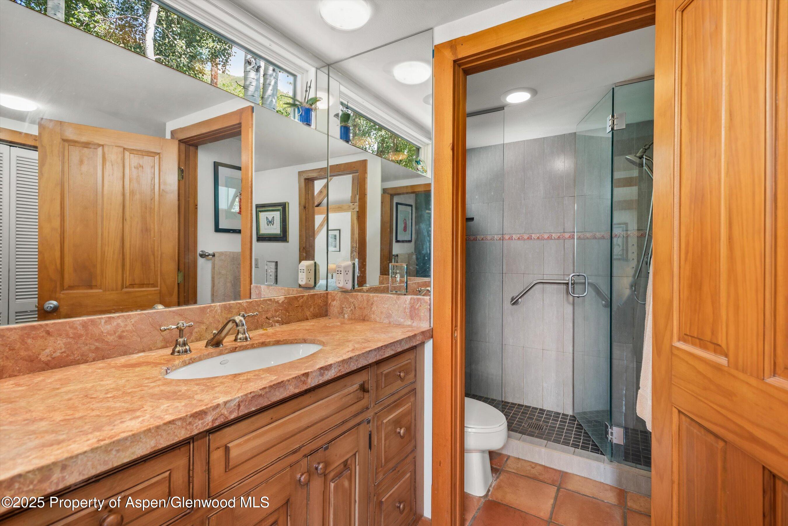 927 Red Mountain Road Aspen, CO 81612 - Photo 19 of 37 a bathroom with a granite countertop sink a mirror and a shower