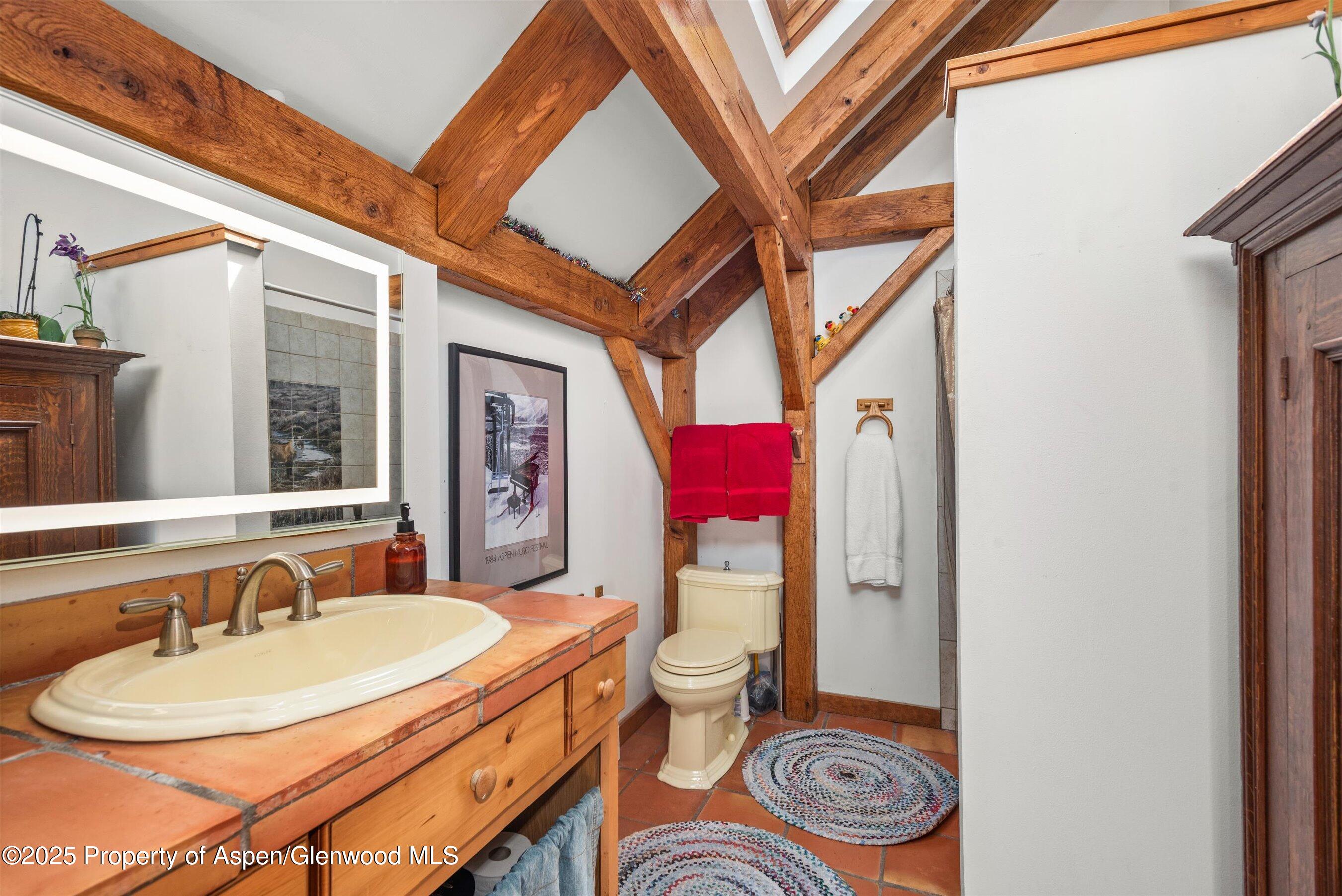 927 Red Mountain Road Aspen, CO 81612 - Photo 21 of 37 a bathroom with a sink a toilet and a mirror