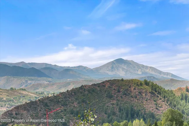 a view of a lot of trees and mountain