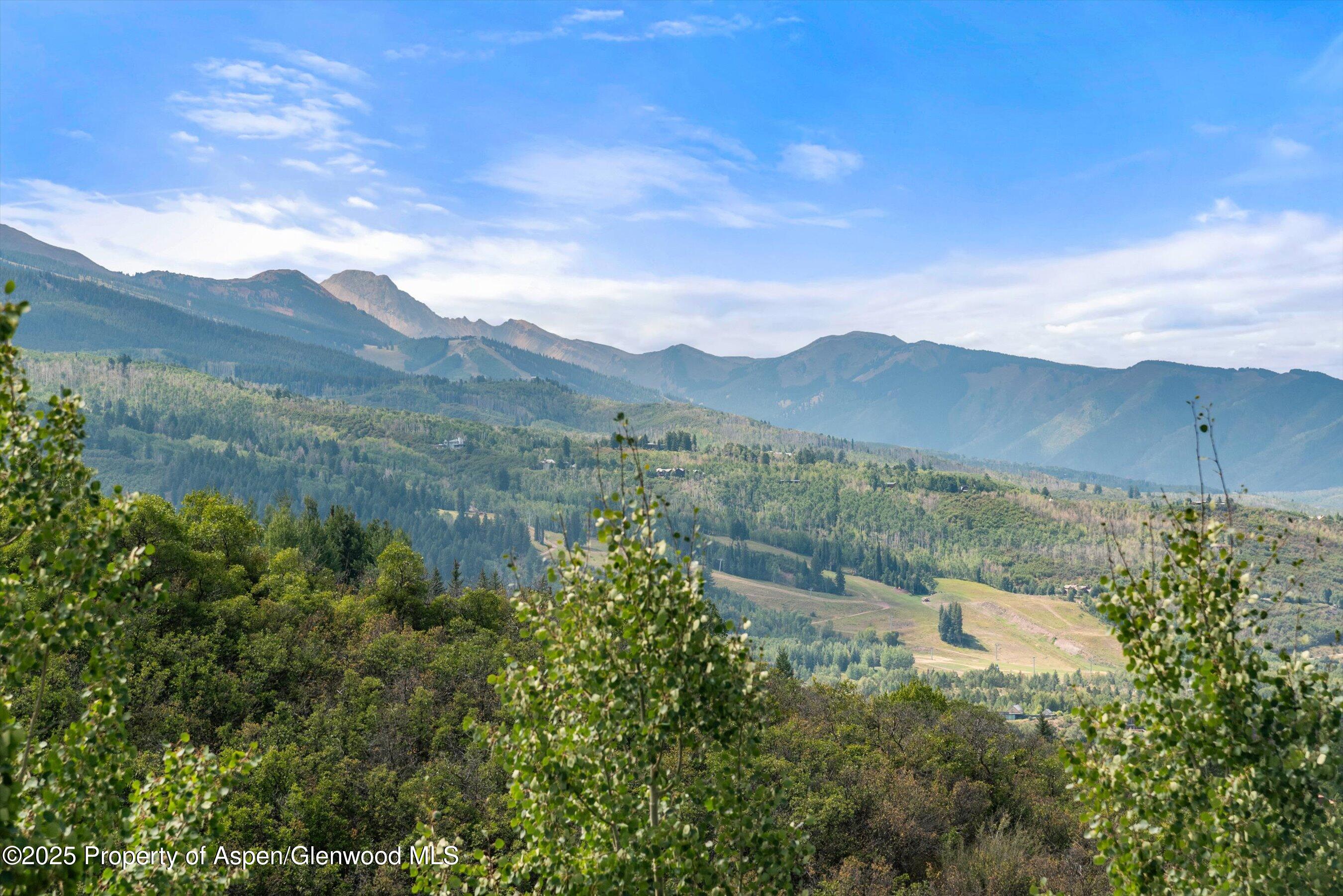 927 Red Mountain Road Aspen, CO 81612 - Photo 31 of 37 a view of a lot of trees and mountain