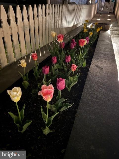 220 Thaxton Street Gaithersburg, MD 20878 - Photo 39 of 61 a front view of a house with lots of flowers