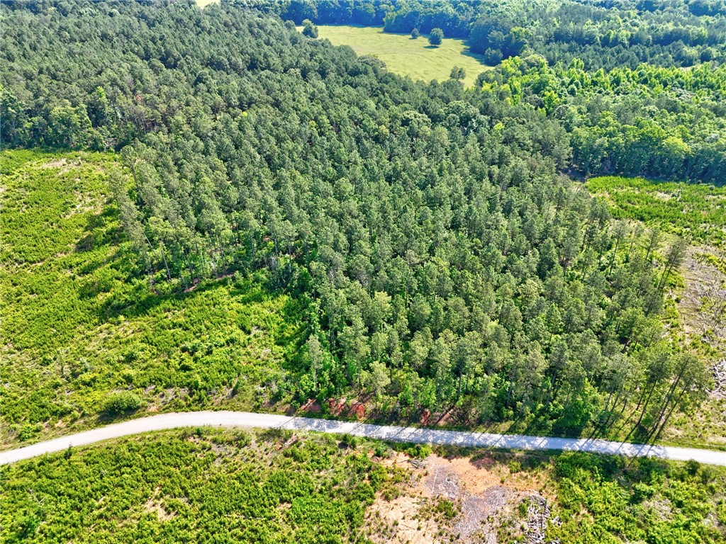 0 Horse Farm Road Iva, SC 29655 - Photo 24 of 32 Mature woodlands and open clearings surround a winding access path across this expansive acreage.
