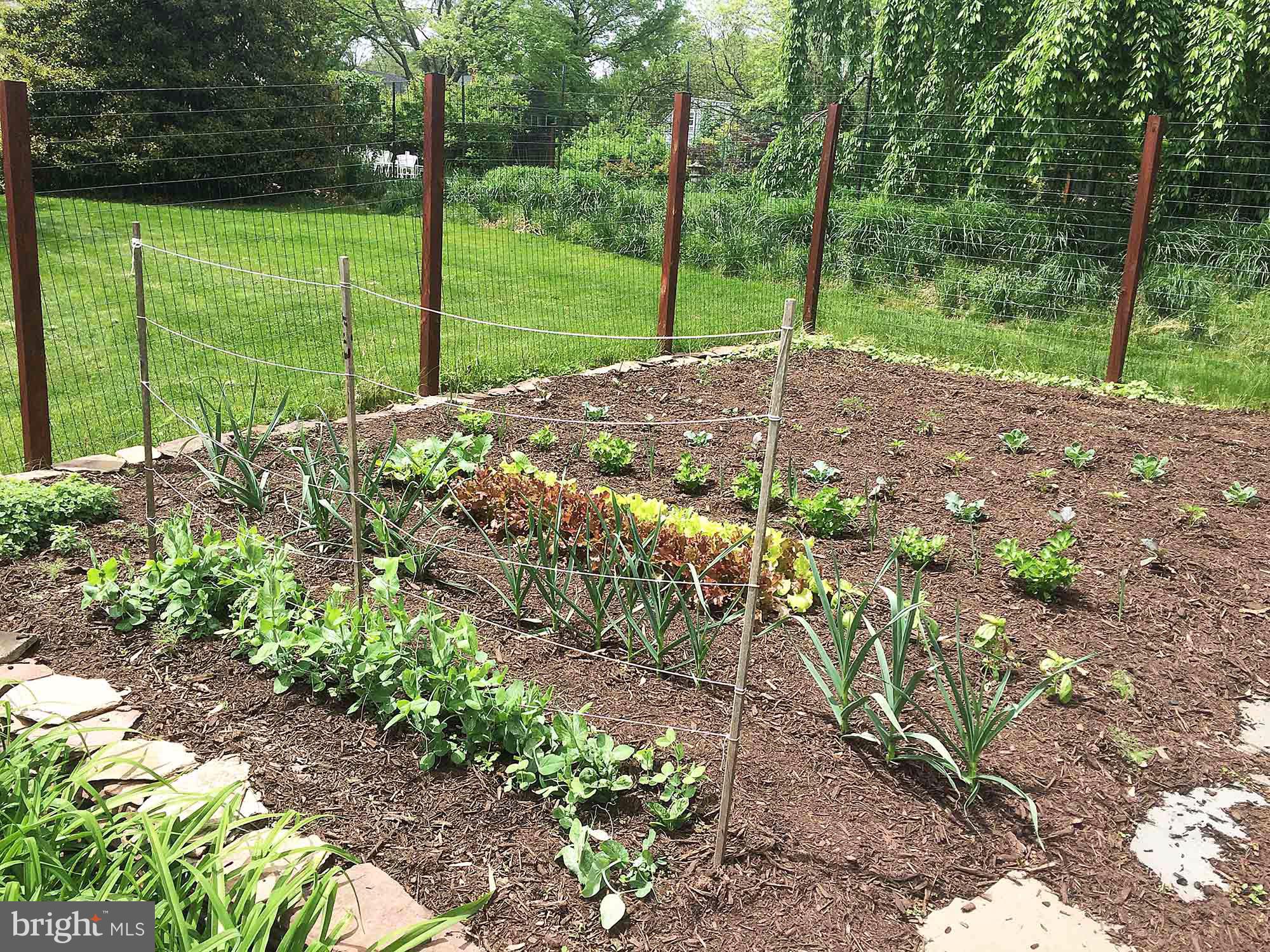 12 Randall Road Princeton, NJ 08540 - Photo 38 of 39 Garden