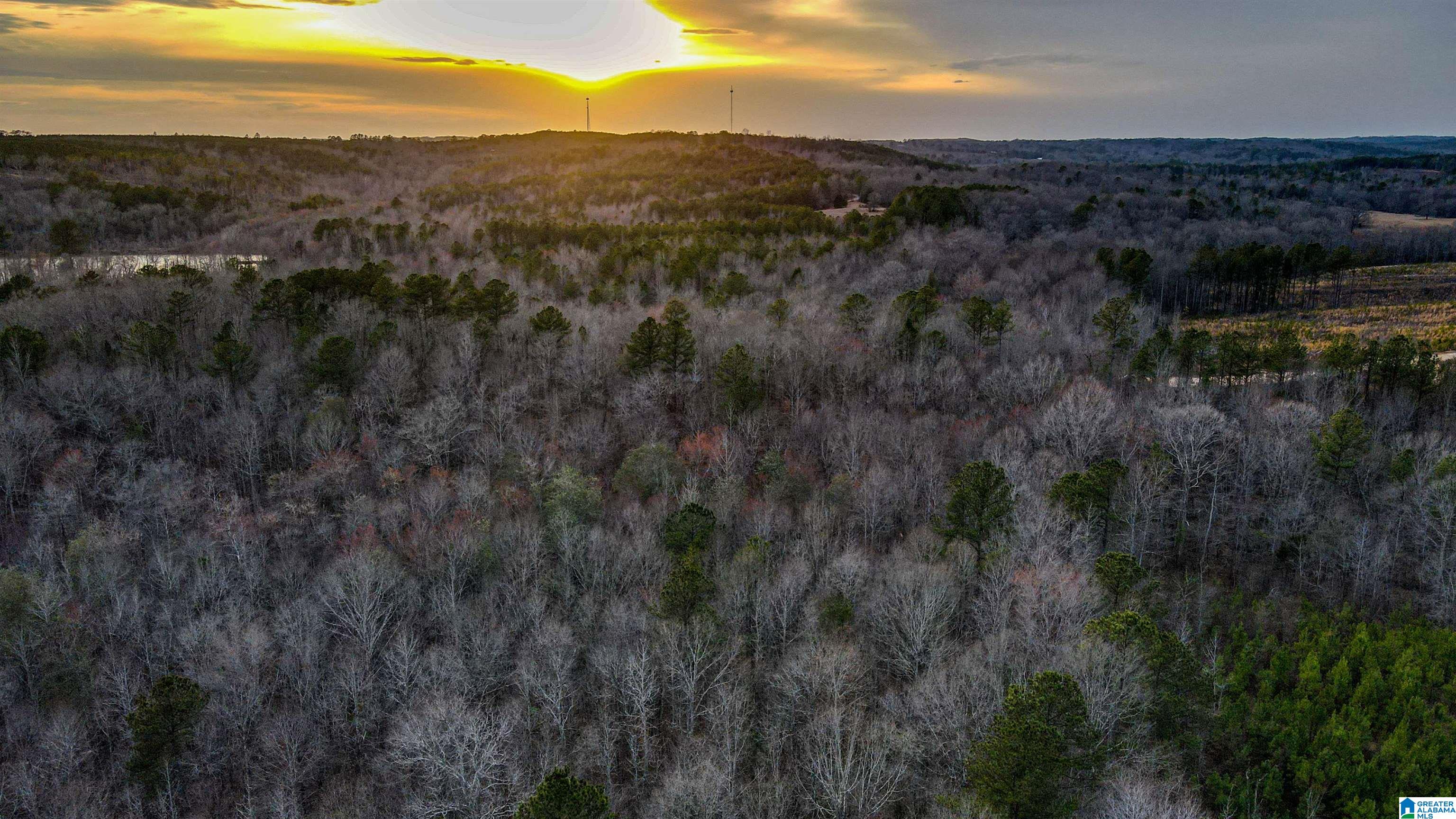 339 County Road Nauvoo, AL 35578 - Photo 53 of 57