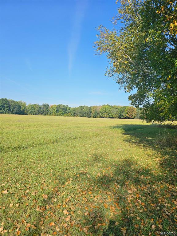 9750 East Mike And Tony Road Merritt, MI 49667 - Photo 10 of 15 Gallery Image 10