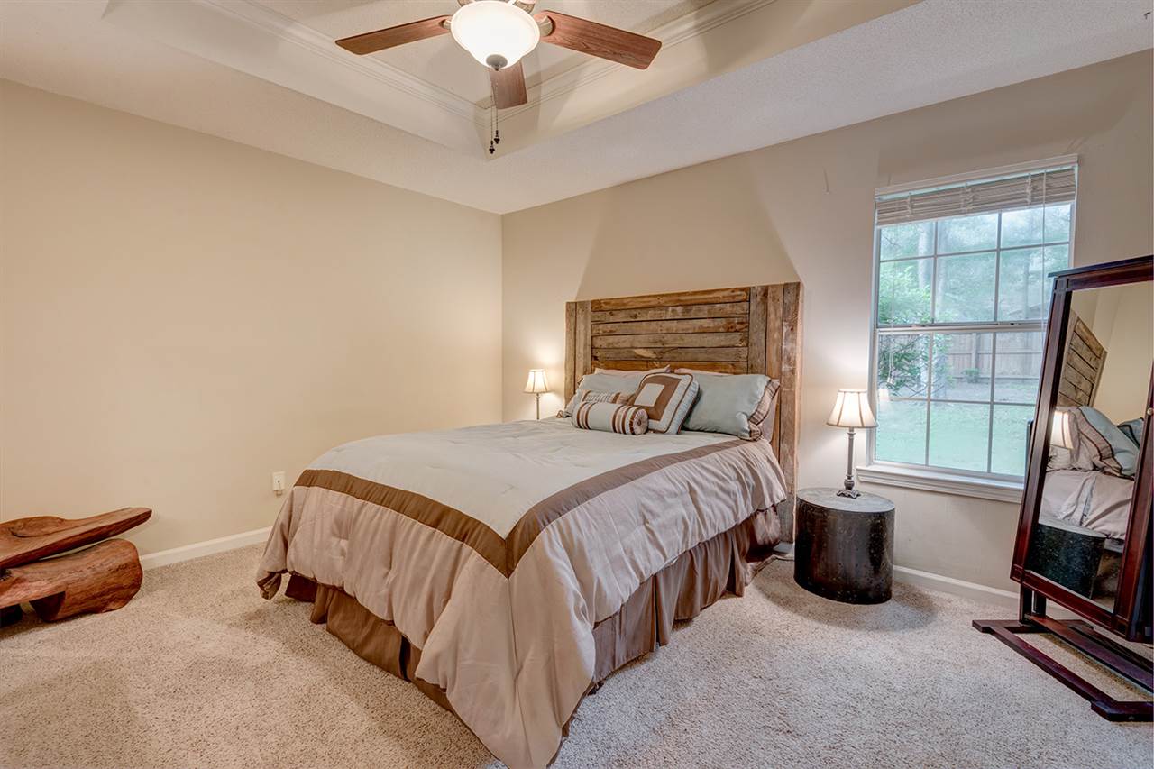 223 Maplewood Loop Daphne, AL 36526 - Photo 12 of 20 Bedroom with tray ceiling