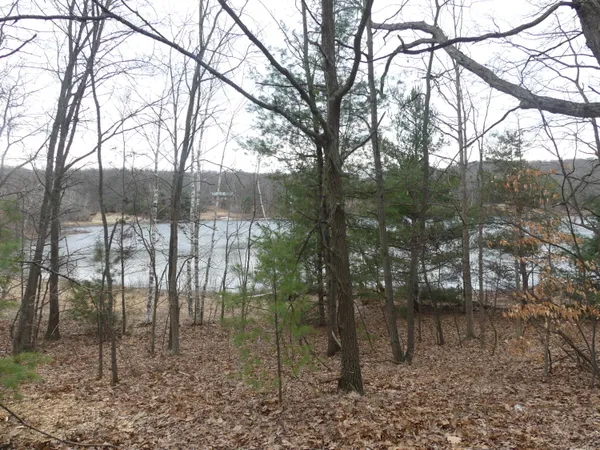$160,000 | V/l West Buchanan Road, Shelby, MI 49455