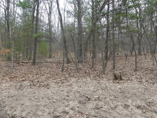 $160,000 | V/l West Buchanan Road, Shelby, MI 49455