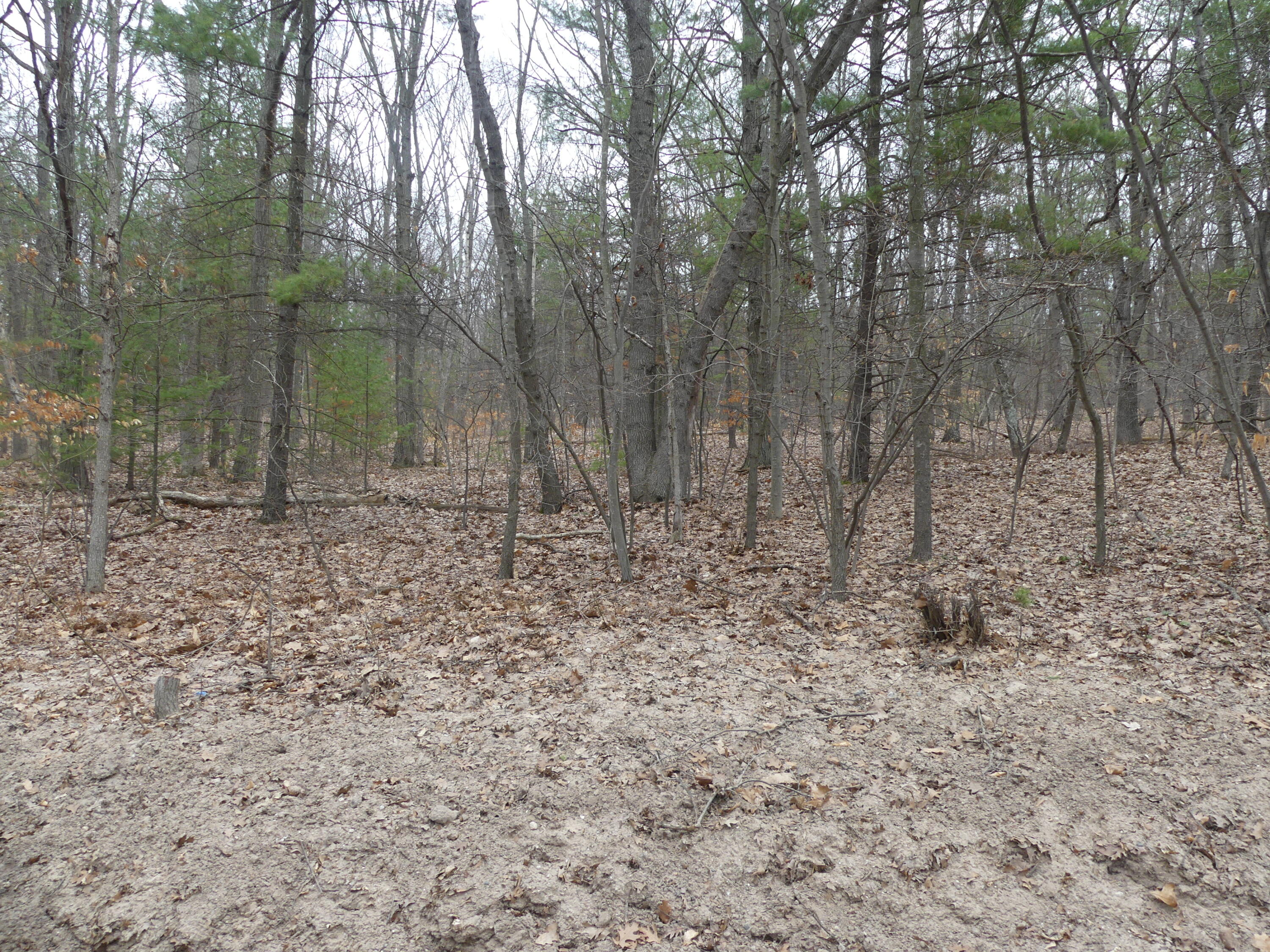 V/l West Buchanan Road Shelby, MI 49455 - Photo 2 of 8 P1150493