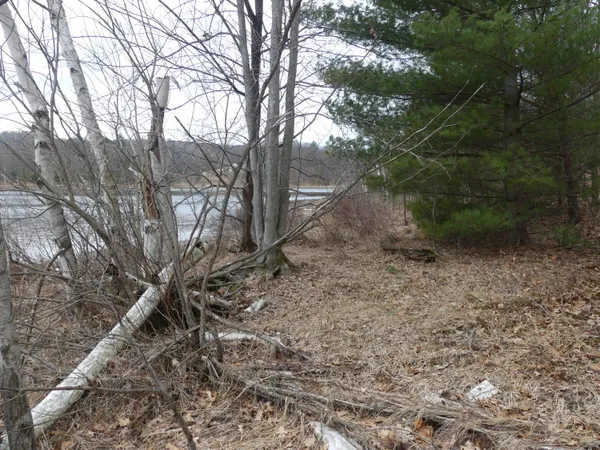 $160,000 | V/l West Buchanan Road, Shelby, MI 49455