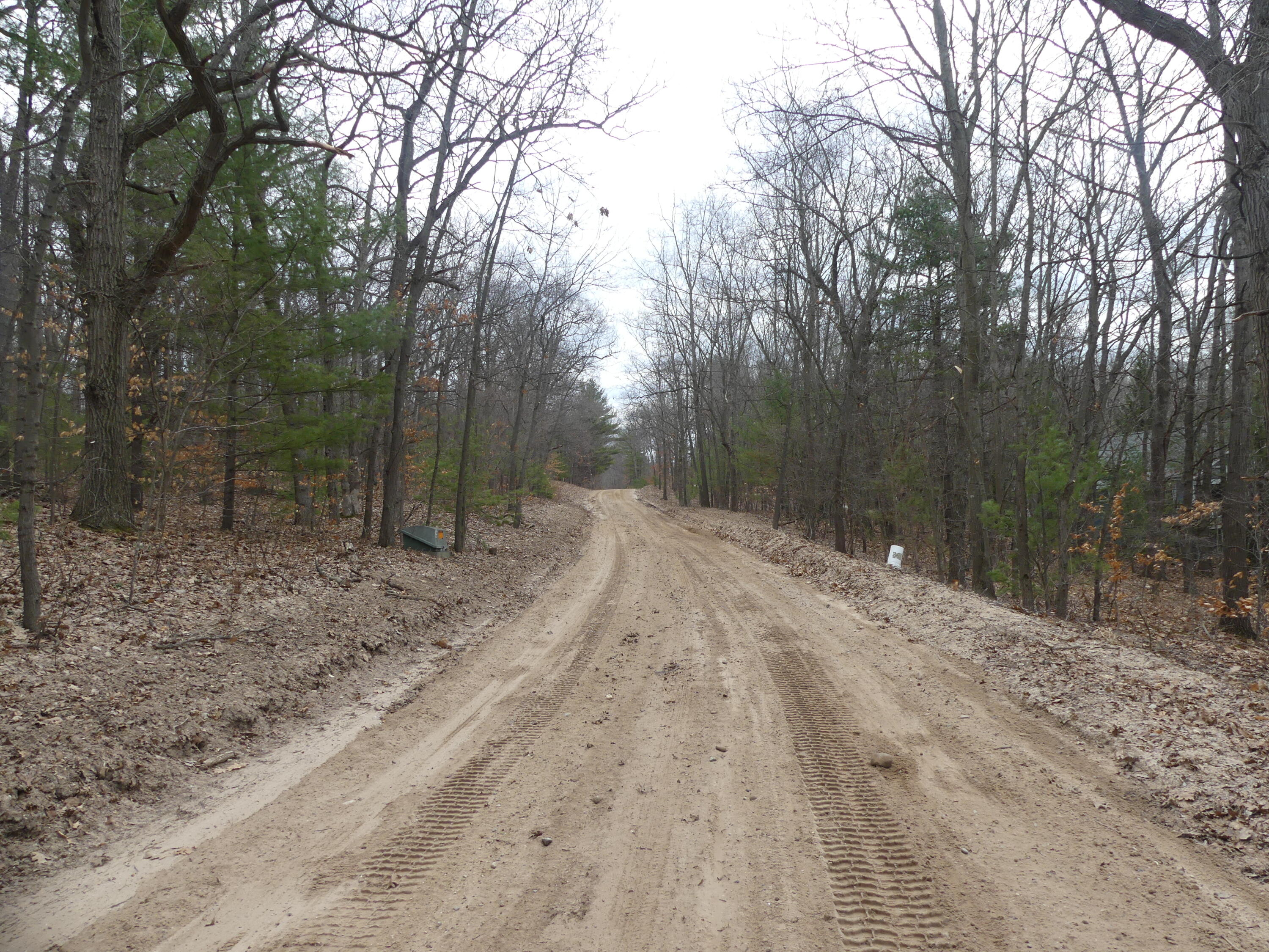 V/l West Buchanan Road Shelby, MI 49455 - Photo 8 of 8 P1150494