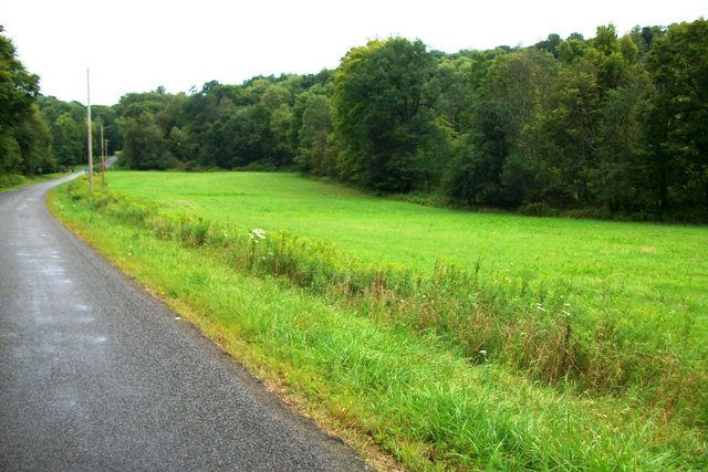 Raymilton Road Polk, PA 16342 - Photo 1 of 1 a view of a grassy area with an trees