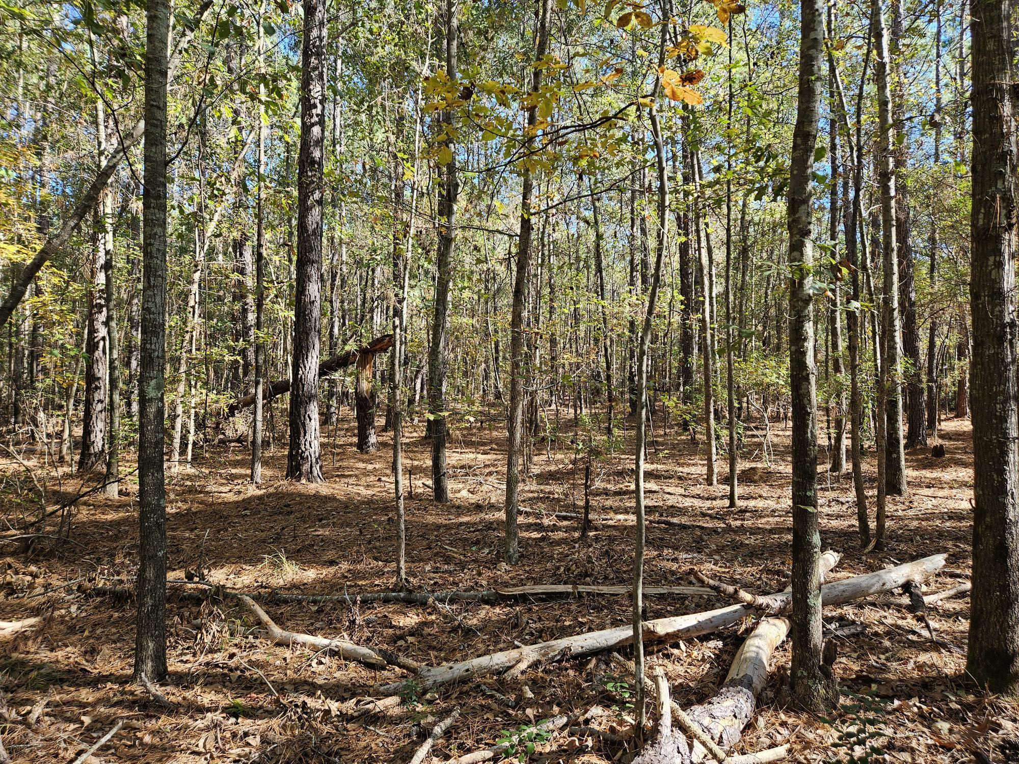 3750 William Brunson Road Summerton, SC 29148 - Photo 12 of 31 EASY TO NAVIGATE