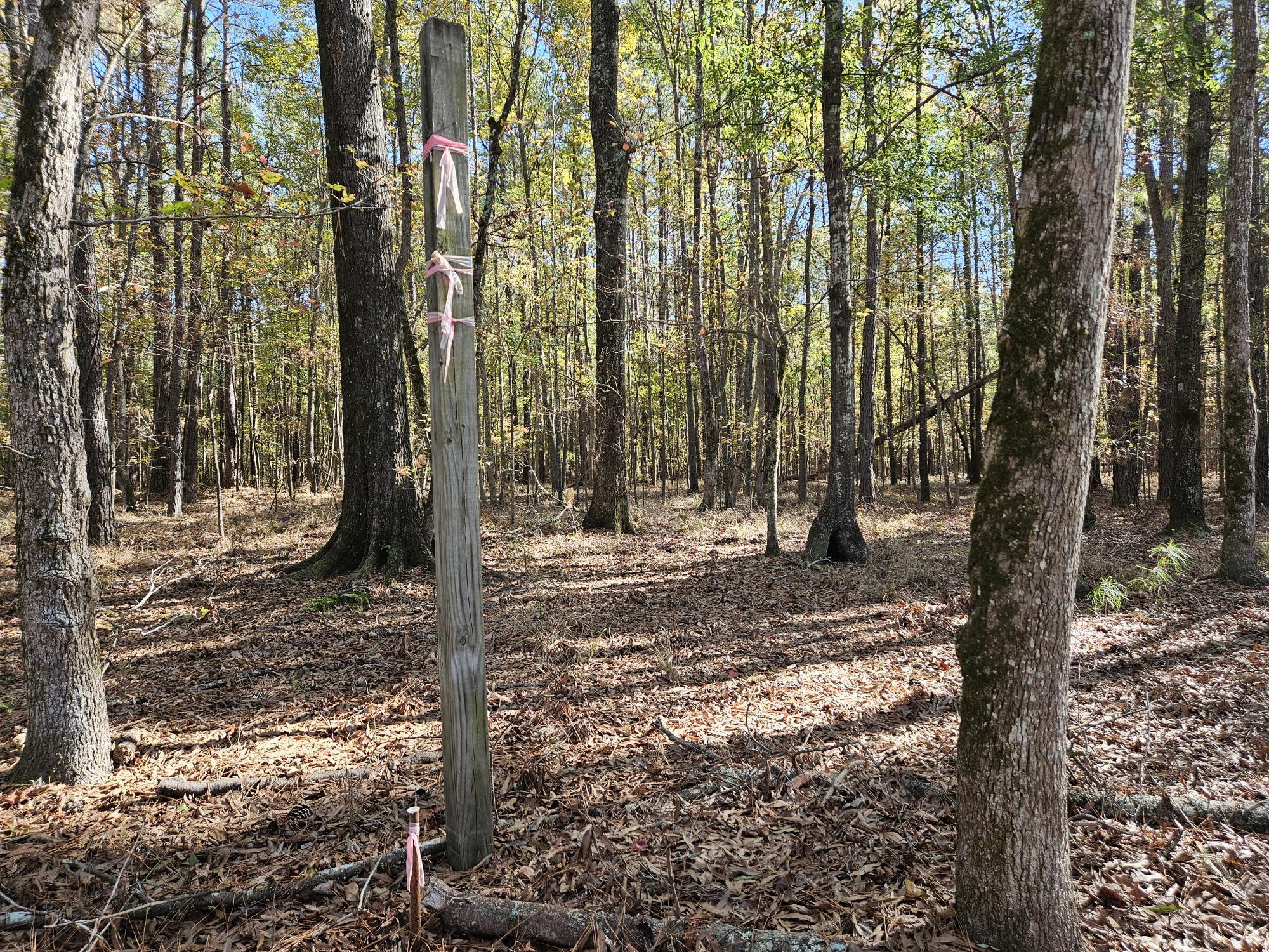 3750 William Brunson Road Summerton, SC 29148 - Photo 17 of 31 BACK RIGHT BOUNDARY