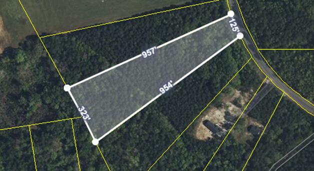 3750 William Brunson Road Summerton, SC 29148 - Photo 18 of 31 LOT DIMENSIONS