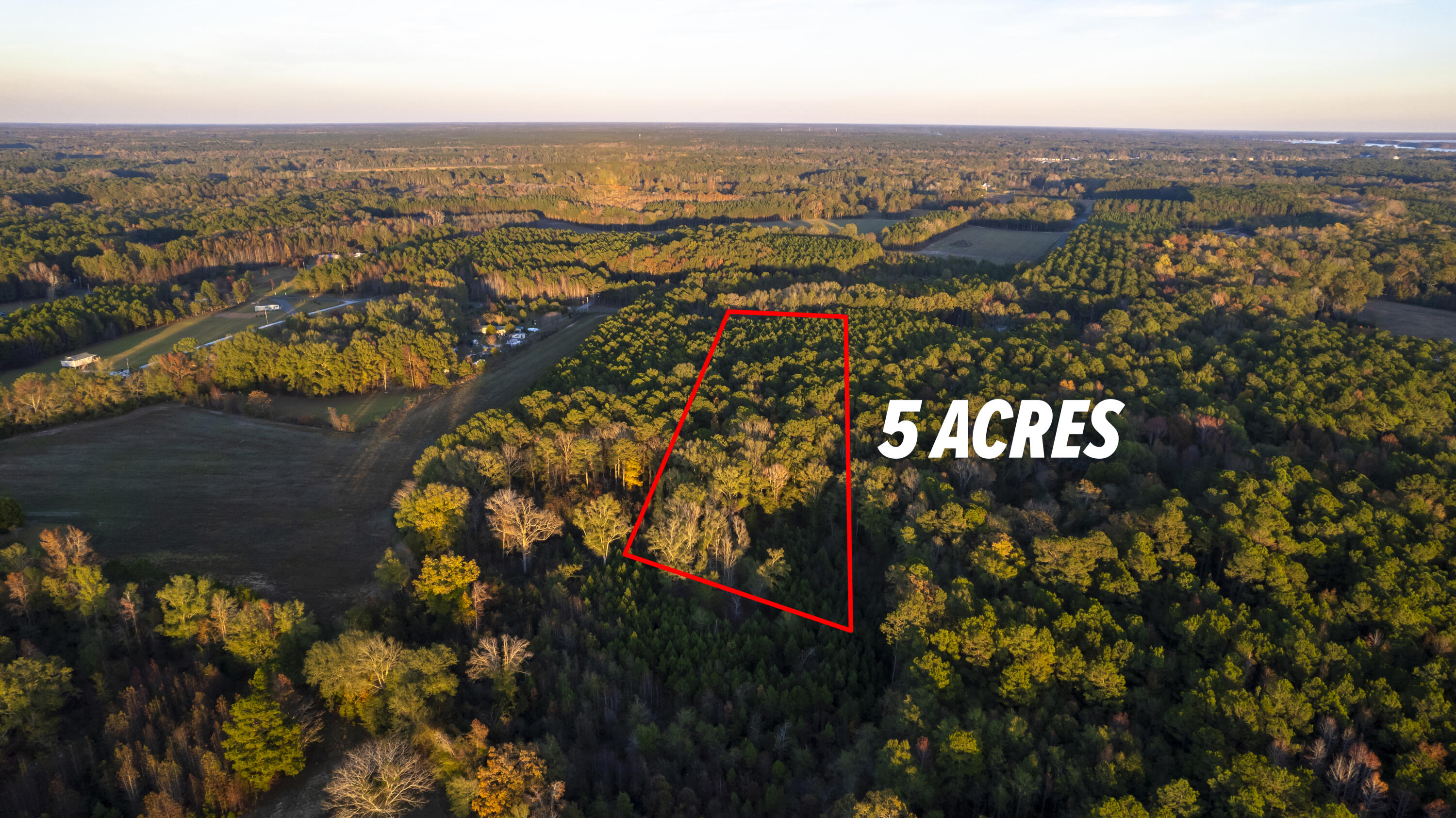 3750 William Brunson Road Summerton, SC 29148 - Photo 3 of 31 AERIAL VIEW FROM THE BACK